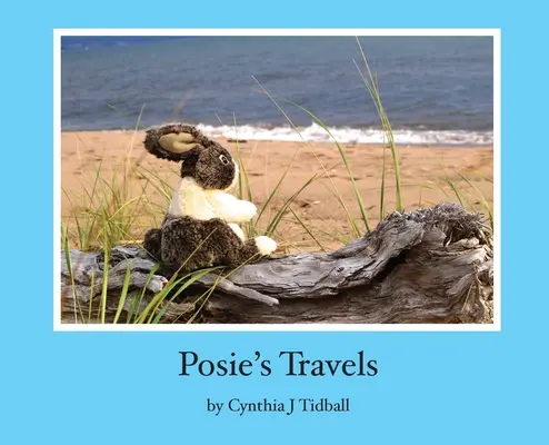 I viaggi di Posie - Posie's Travels