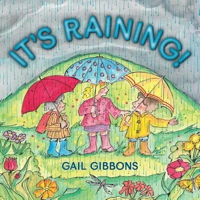 Piove! - It's Raining!