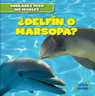 Delfino o marsopa? (Delfino o focena?) - Delfin O Marsopa? (Dolphin or Porpoise?)