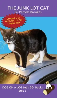 Il gatto spazzatura: (Passo 3) Libri sonori (decodificabili sistematicamente) Aiutano i lettori in via di sviluppo, compresi quelli con dislessia, a imparare a leggere - The Junk Lot Cat: (Step 3) Sound Out Books (systematic decodable) Help Developing Readers, including Those with Dyslexia, Learn to Read