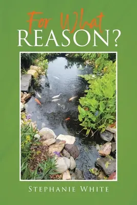 Per quale motivo? - For What Reason?