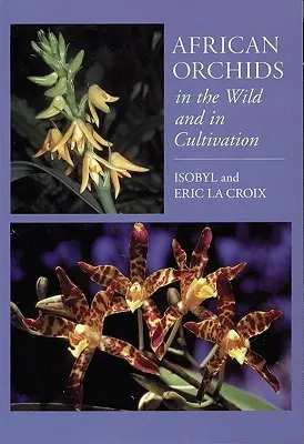 Orchidee africane in natura e in coltivazione - African Orchids in the Wild and in Cultivation