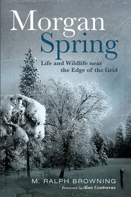 La primavera di Morgan - Morgan Spring
