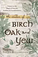 La saggezza di betulla, quercia e tasso: Connettersi alla magia degli alberi per la guida e la trasformazione - The Wisdom of Birch, Oak, and Yew: Connect to the Magic of Trees for Guidance & Transformation