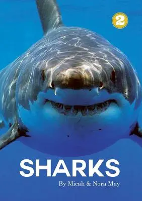 Gli squali - Sharks