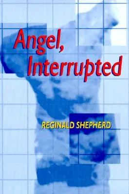 Angelo interrotto - Angel Interrupted