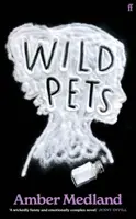 Animali selvatici - Wild Pets