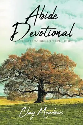 Abide Devotional: 40 giorni di libertà in Cristo - Abide Devotional: 40 Days to Abounding Freedom in Christ