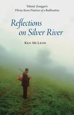 Riflessioni su Silver River - Reflections on Silver River