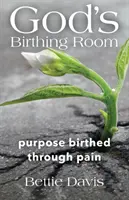 La sala parto di Dio: Uno scopo nato attraverso il dolore - God's Birthing Room: Purpose Birthed Through Pain