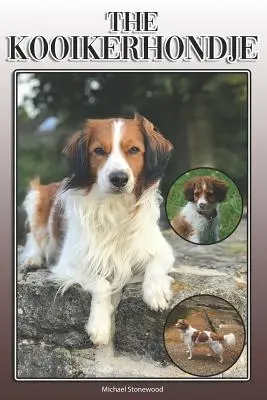 Il Kooikerhondje: Una guida completa ed esaustiva per i proprietari: Comprare, possedere, salute, toelettatura, addestramento, obbedienza, comprensione e - The Kooikerhondje: A Complete and Comprehensive Owners Guide To: Buying, Owning, Health, Grooming, Training, Obedience, Understanding and