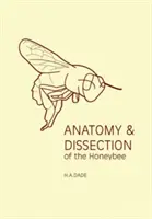 Anatomia e dissezione dell'ape da miele - Anatomy and Dissection of the Honeybee