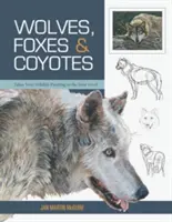 Lupi, volpi e coyote (Basi di pittura naturalistica) - Wolves, Foxes & Coyotes (Wildlife Painting Basics)