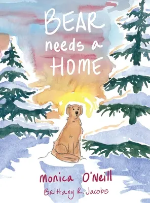 L'orso ha bisogno di una casa - Bear Needs A Home
