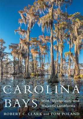 Le baie della Carolina: Terre selvagge, misteriose e maestose - Carolina Bays: Wild, Mysterious, and Majestic Landforms