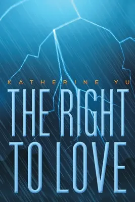 Il diritto di amare - The Right to Love