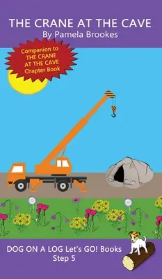 La gru alla caverna: (Passo 5) Libri sonori (decodificabili sistematici) Aiutano i lettori in via di sviluppo, compresi quelli con dislessia, a imparare a leggere - The Crane At The Cave: (Step 5) Sound Out Books (systematic decodable) Help Developing Readers, including Those with Dyslexia, Learn to Read