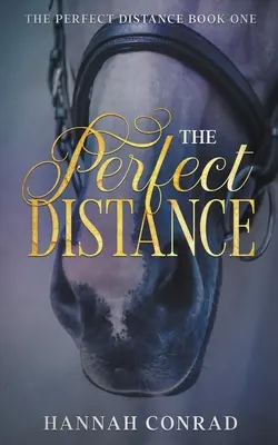 La distanza perfetta - The Perfect Distance