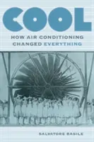 Cool: come l'aria condizionata ha cambiato tutto - Cool: How Air Conditioning Changed Everything