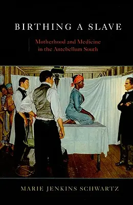 Partorire uno schiavo: Maternità e medicina nel Sud Antebellico - Birthing a Slave: Motherhood and Medicine in the Antebellum South