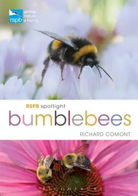 I bombi della RSPB in primo piano - RSPB Spotlight Bumblebees