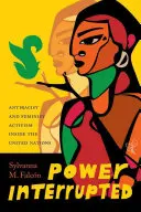 Il potere interrotto: L'attivismo antirazzista e femminista all'interno delle Nazioni Unite - Power Interrupted: Antiracist and Feminist Activism inside the United Nations