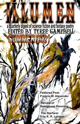 Illumen Estate 2021 - Illumen Summer 2021