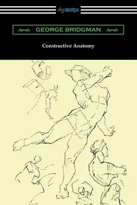 Anatomia costruttiva - Constructive Anatomy