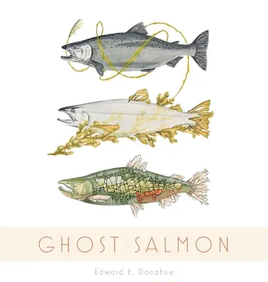 Salmone fantasma - Ghost Salmon