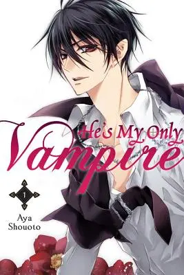 Lui è il mio unico vampiro, volume 1 - He's My Only Vampire, Volume 1