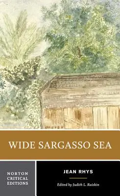 Il mare dei Sargassi: Sfondo, critica - Wide Sargasso Sea: Backgrounds, Criticism