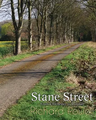 Stane Street: Da Chichester a Londra - Stane Street: From Chichester to London
