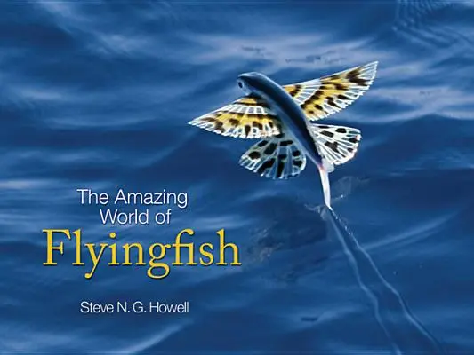 Il fantastico mondo dei pesci volanti - The Amazing World of Flyingfish