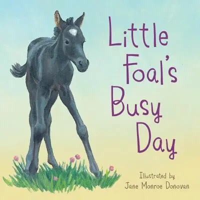 La giornata piena del piccolo puledro - Little Foal's Busy Day