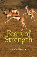 Gesta di forza: come l'evoluzione modella le capacità atletiche degli animali - Feats of Strength: How Evolution Shapes Animal Athletic Abilities