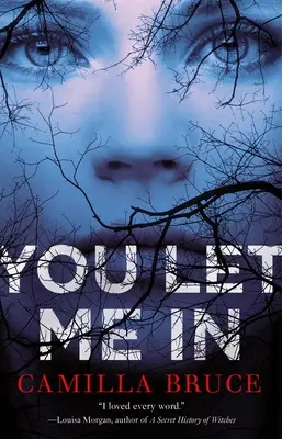 Mi hai lasciato entrare - You Let Me in