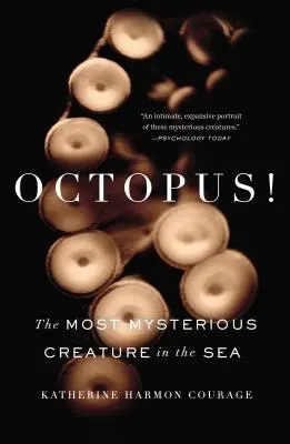 Polpo! La creatura più misteriosa del mare - Octopus!: The Most Mysterious Creature in the Sea