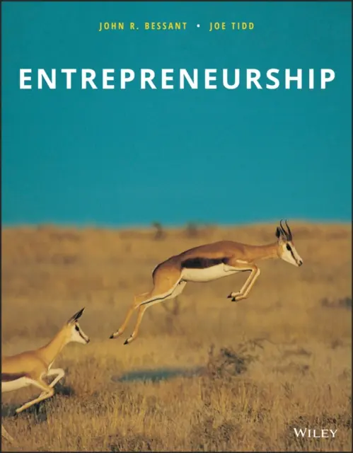 Imprenditorialità - Entrepreneurship