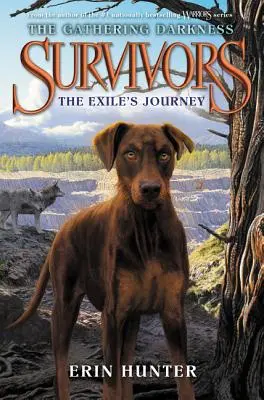 Sopravvissuti: The Gathering Darkness: Il viaggio dell'esule - Survivors: The Gathering Darkness: The Exile's Journey