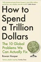 Come spendere un trilione di dollari - I 10 problemi globali che possiamo davvero risolvere - How to Spend a Trillion Dollars - The 10 Global Problems We Can Actually Fix