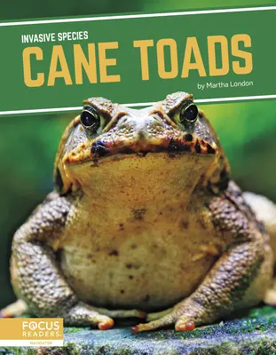 Rospi di canna - Cane Toads