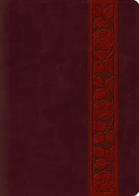 Bibbia di studio-ESV-Stampa grande Design a traliccio - Study Bible-ESV-Large Print Trellis Design