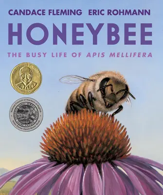 Ape: L'intensa vita delle API Mellifera - Honeybee: The Busy Life of APIs Mellifera