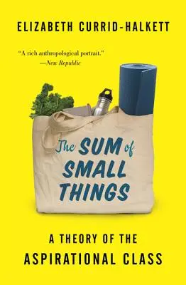 La somma delle piccole cose: Una teoria della classe aspirazionale - The Sum of Small Things: A Theory of the Aspirational Class