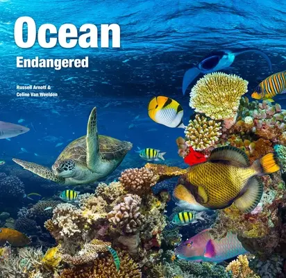 Oceano: In pericolo - Ocean: Endangered