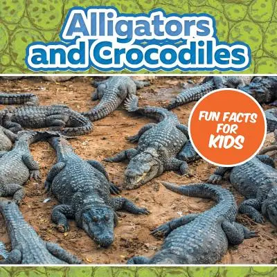 Alligatori e coccodrilli: curiosità per i bambini - Alligators and Crocodiles Fun Facts For Kids