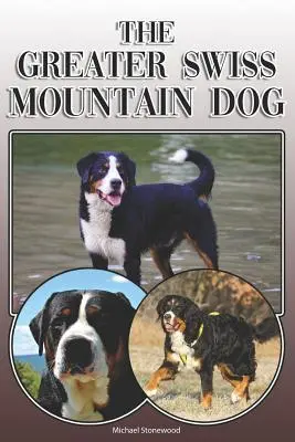 Il cane da montagna svizzero maggiore: Guida completa ed esaustiva per il proprietario: Comprare, possedere, salute, toelettatura, addestramento, obbedienza, comprensione e - The Greater Swiss Mountain Dog: A Complete and Comprehensive Owners Guide To: Buying, Owning, Health, Grooming, Training, Obedience, Understanding and