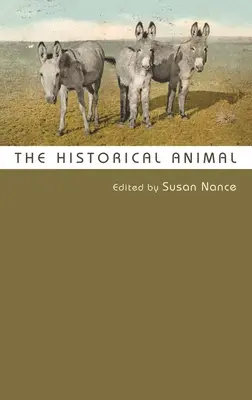 L'animale storico - The Historical Animal