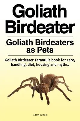 Il Girino Golia. Gli uccelli golia come animali domestici. Libro sulla tarantola Goliath Birdeater per la cura, la gestione, la dieta, l'alloggio e i miti. - Goliath Birdeater . Goliath Birdeaters as Pets. Goliath Birdeater Tarantula book for care, handling, diet, housing and myths.