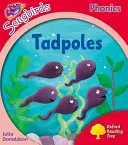 Oxford Reading Tree Songbirds Phonics: Livello 4: Girini - Oxford Reading Tree Songbirds Phonics: Level 4: Tadpoles